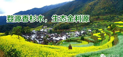 金利源板材/金品質(zhì) 源生態(tài).從源頭精挑細選，為品質(zhì)保駕護航——中國板材十大品牌品質(zhì)篇