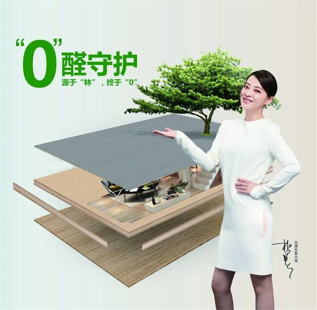 國慶黃金周家裝必備：金利源ENF級香杉實木生態(tài)板