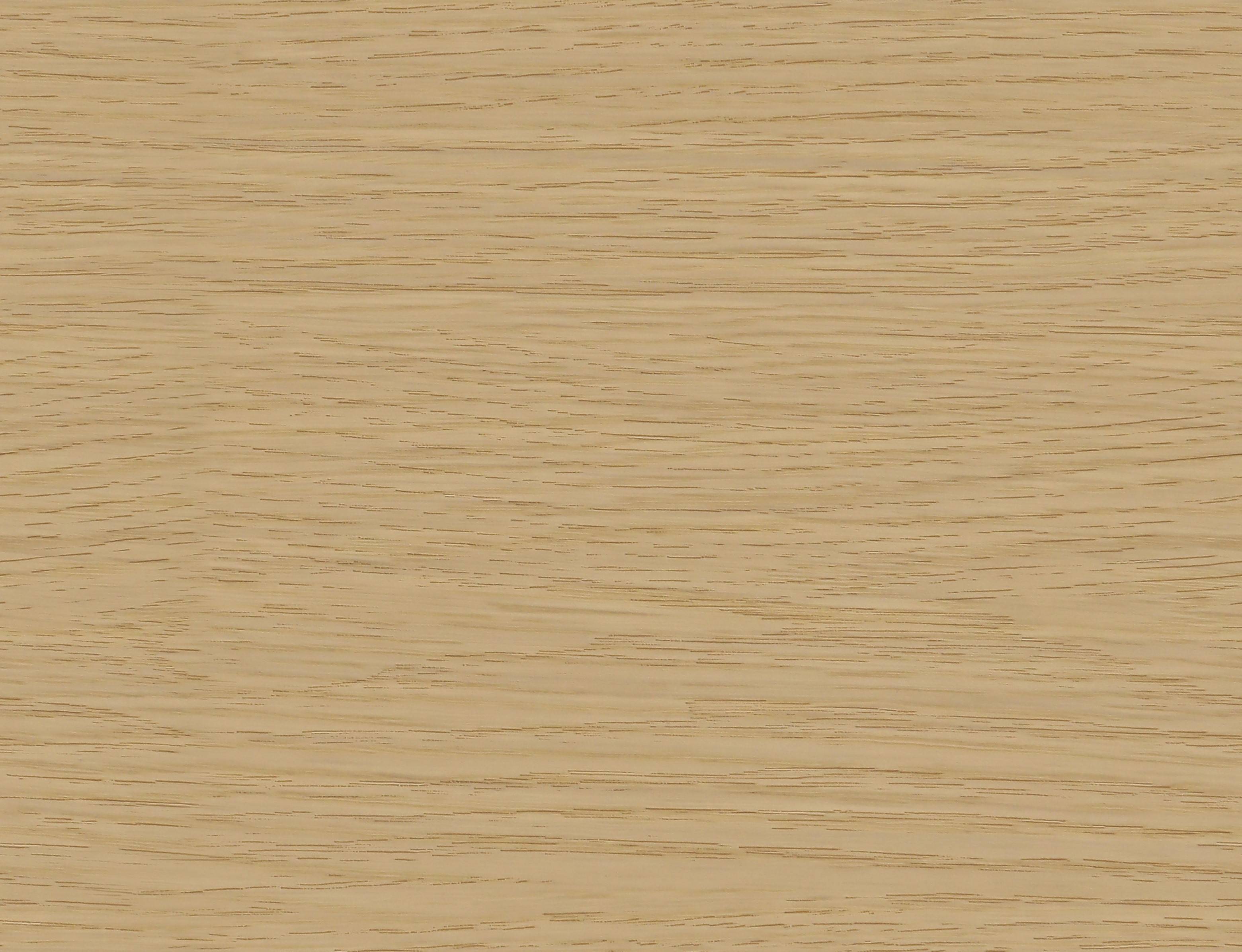 勒斯迷橡